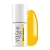 70101.webp